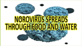 Norovirus spreads through food and water